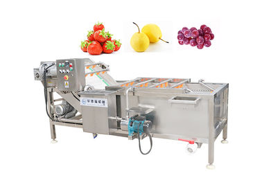 SUS304 Kabarcıklı Çamaşır Makinesi Sebze ve Meyve 500kg / H Gıda Temizleme Makinesi