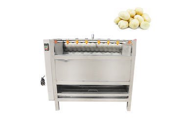 Meyve Havuç Soyucu Patates 1000kg / saat Sebze Yıkama Makinası