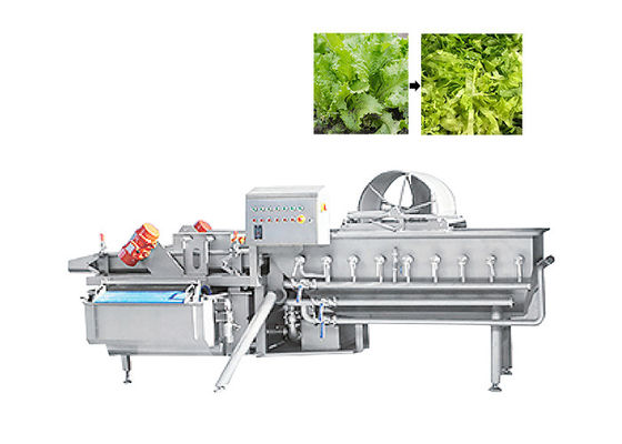 Meyve Salatası Sebze için 1000kg / H Yeşil Yaprak Kesici Marul Kesme Makinesi