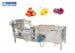 Sebze Yıkama Makinesi Domates Yıkama Makinesi Sebze Yıkama Hattı Otomatik Sebze Yıkama Makinesi