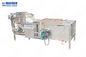 Saç Çıkarma Meyve Ve Sebze Yıkama Makinesi 500 - 1000kg / H Kapasiteli Otomatik Sebze Yıkama Makinesi