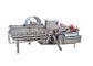 SUS304 1000KG / H Vortex Yapraklı Sebze Yıkama Makinesi