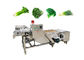 Meyve 380V Konveyörlü Sebze Yıkama Makinası