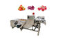 Sebze Meyve SUS304 500kg / h Hava Kabarcığı Yıkama Makinesi