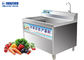 150KG/H Ispanaklı Sebze Yıkama Makinesi, Rizom ve Turşu Meyveler İçin