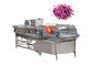 Meyve Salatası Sebze için 1000kg / H Yeşil Yaprak Kesici Marul Kesme Makinesi