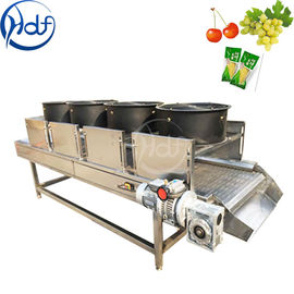 Sürekli Sebze Meyve Kurutma Makinesi, Gıda Kurutucu Makinesi Konveyör Bant Genişliği 600mm
