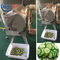Catering Şirketler Yeşil Yapraklı Sebze Kesici, Patates Kesme Makinesi