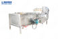 SUS304 Kabarcıklı Çamaşır Makinesi Sebze ve Meyve 500kg / H Gıda Temizleme Makinesi