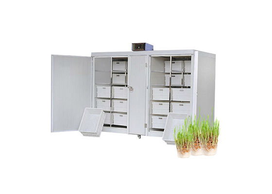 Süt Hayvancılık Arpa İçin 250kg / D Hidroponik Yem Makinesi